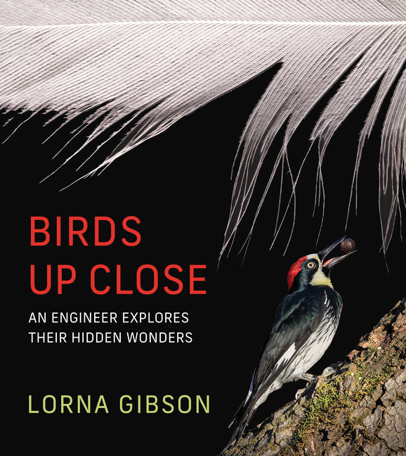 Book cover for Birds Up Close: An Engineer Explores Their Hidden Wonders