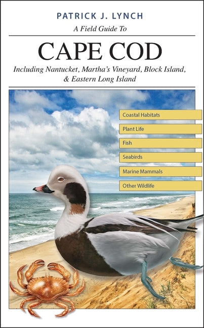 Book cover for A Field Guide to Cape Cod: Including Nantucket, Martha's Vineyard, Block Island, and Eastern Long Island