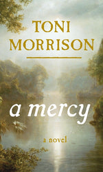 Book cover for A Mercy