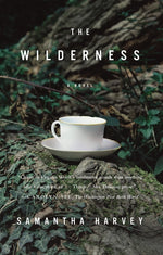 Book cover for Wilderness