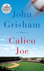 Book cover for Calico Joe