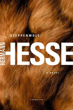 Book cover for Steppenwolf