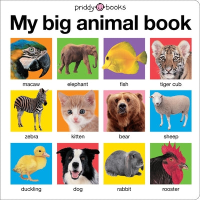 Book cover for My Big Animal Book