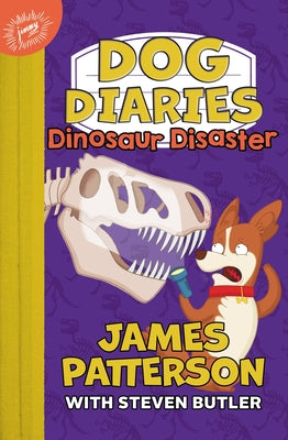 Book cover for Dinosaur Disaster