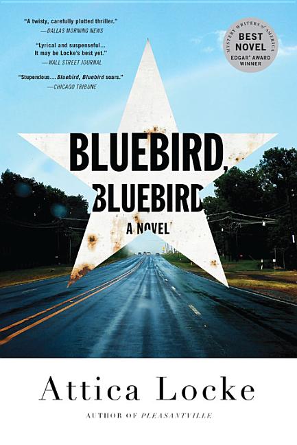 Book cover for Bluebird, Bluebird