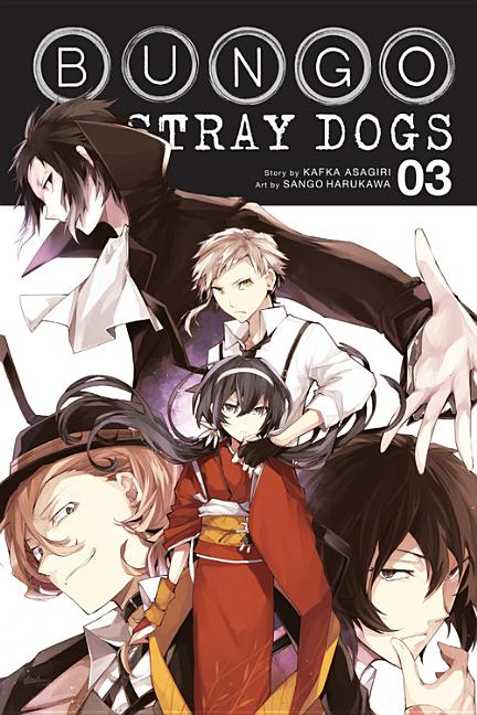 Book cover for Bungo Stray Dogs, Volume 3