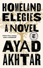 Book cover for Homeland Elegies