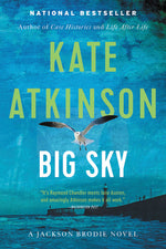 Book cover for Big Sky
