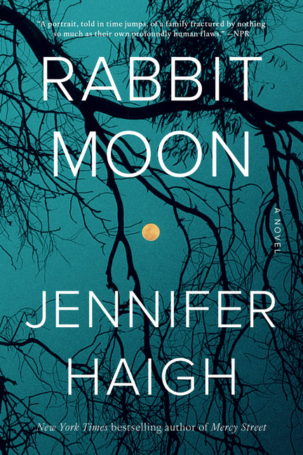 Book cover for Rabbit Moon