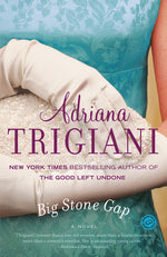 Book cover for Big Stone Gap