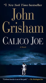 Book cover for Calico Joe