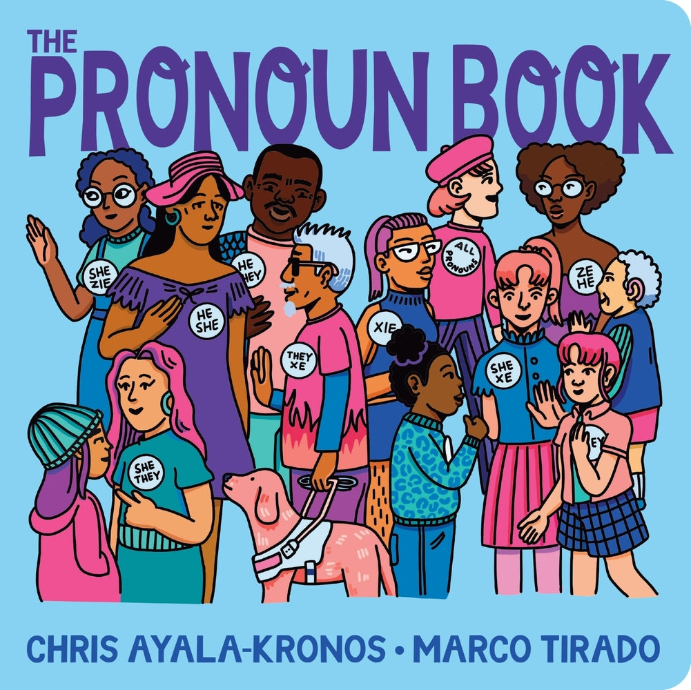 Book cover for The Pronoun Book