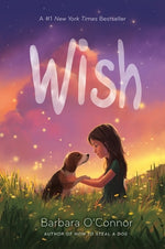 Book cover for Wish