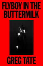 Book cover for Flyboy in the Buttermilk: Essays on Contemporary America