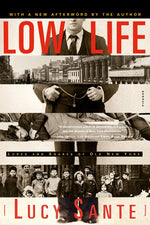 Book cover for Low Life: Lures and Snares of Old New York