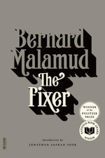 Book cover for The Fixer
