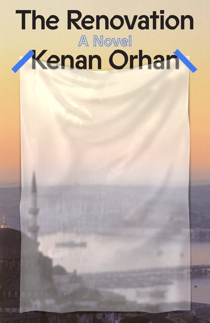 Book cover for Renovation