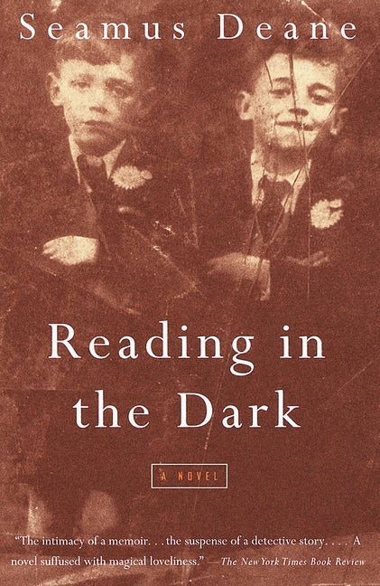 Book cover for Reading in the Dark