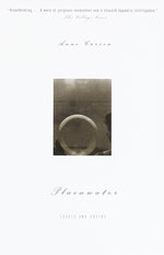 Book cover for Plainwater: Essays and Poetry