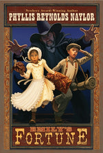 Book cover for Emily's Fortune