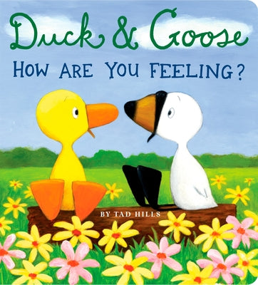 Book cover for Duck & Goose, How Are You Feeling?