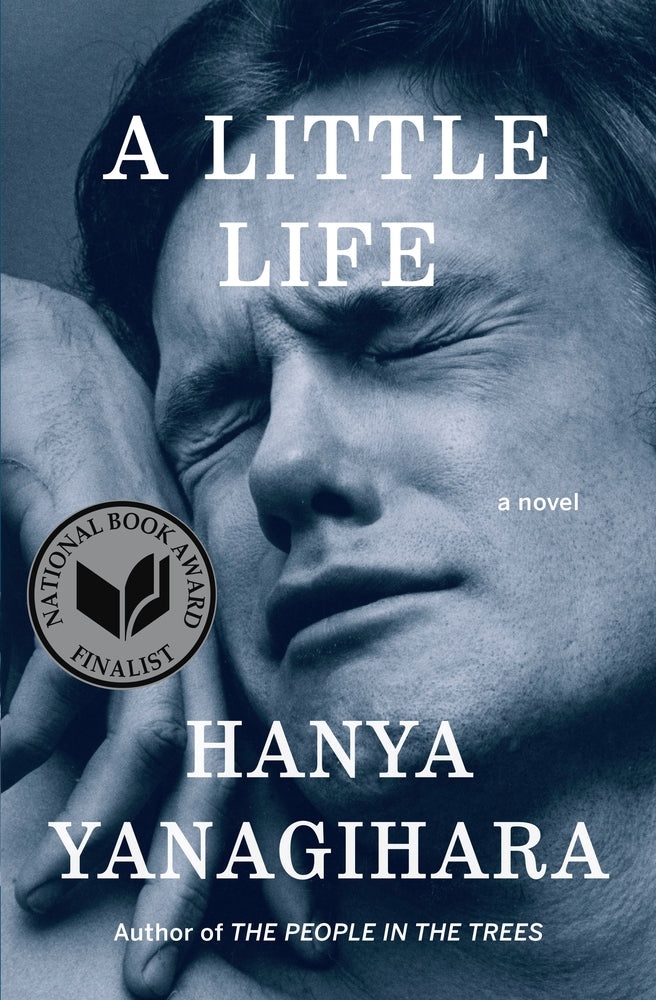 Book cover for A Little Life