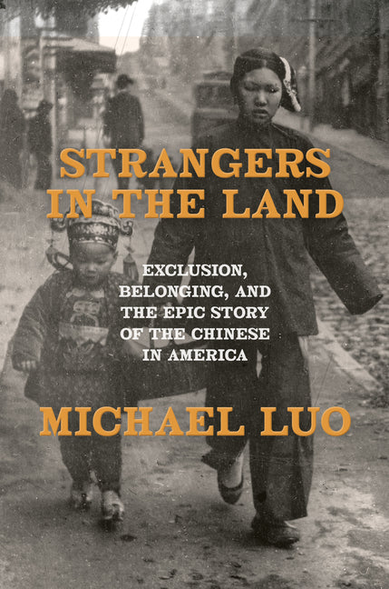 Book cover for Strangers in the Land: Exclusion, Belonging, and the Epic Story of the Chinese in America