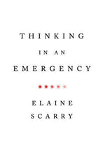 Book cover for Thinking in an Emergency