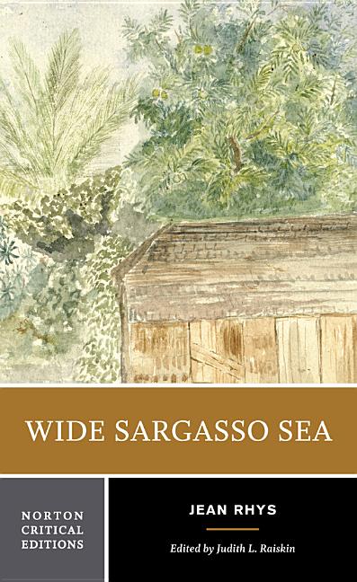 Book cover for Wide Sargasso Sea: A Norton Critical Edition
