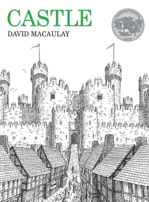 Book cover for Castle