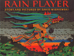 Book cover for Rain Player