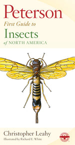 Book cover for Peterson First Guide to Insects
