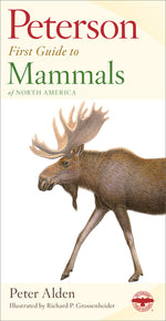 Book cover for Peterson First Guide to Mammals of North America