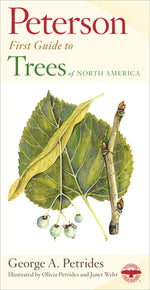 Book cover for Peterson First Guide to Trees