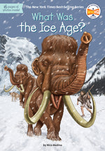 Book cover for What Was the Ice Age?