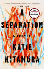 Book cover for A Separation