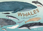 Book cover for Whales: An Illustrated Celebration