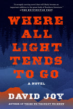 Book cover for Where All Light Tends to Go