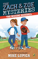 Book cover for Missing Baseball