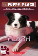 Book cover for Flash (the Puppy Place #6)