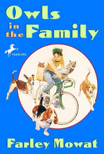 Book cover for Owls in the Family