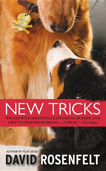 Book cover for New Tricks