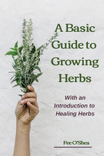 Book cover for Basic Guide To Growing Herbs: With An Introduction To Healing Herbs