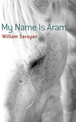 Book cover for My Name is Aram