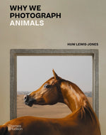 Book cover for Why We Photograph Animals