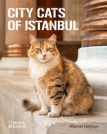 Book cover for City Cats of Istanbul