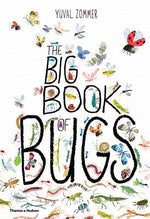 Book cover for The Big Book of Bugs