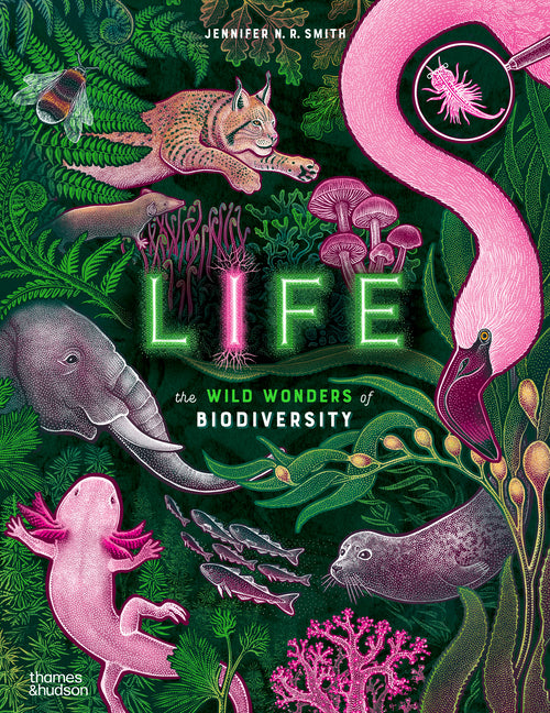 Book cover for Life: The Wild Wonders of Biodiversity