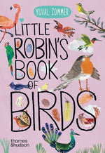 Book cover for Little Robin's Book of Birds
