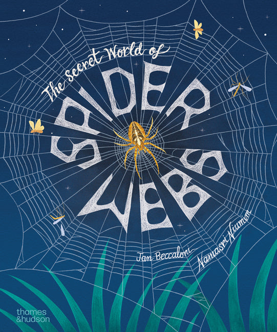Book cover for Secret World of Spiderwebs